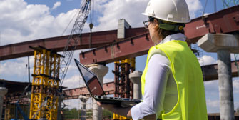 Bridge Inspector looking at project