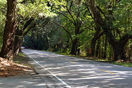 Scenic Byways