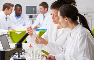 Group of Technicians Working in a Laboratory
